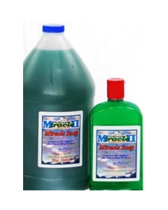 Regular Soap